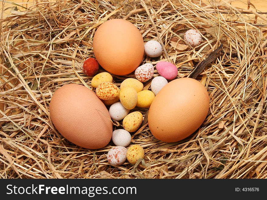 Hens eggs and chocolate Easter eggs  on straw. Hens eggs and chocolate Easter eggs  on straw
