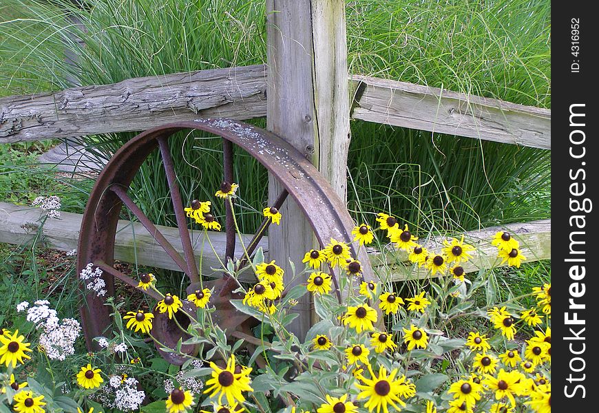 Corner of a wooden fence with a wagon wheel and yellow flowers. Corner of a wooden fence with a wagon wheel and yellow flowers