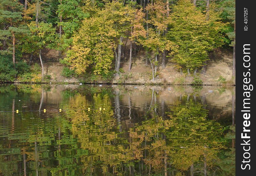 The mirror picture - pond in the wood, one nice autumm day