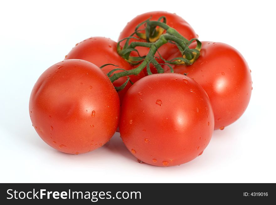 Tomato with the green branch,. Tomato with the green branch,