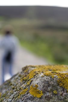 Lichen With Figure In Background Stock Photos Lichen With Figure In Background Stock Photos