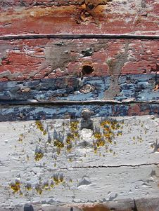 Red And Blue Cracked And Peeling Paint Stock Photo Red And Blue Cracked And Peeling Paint Stock Photo