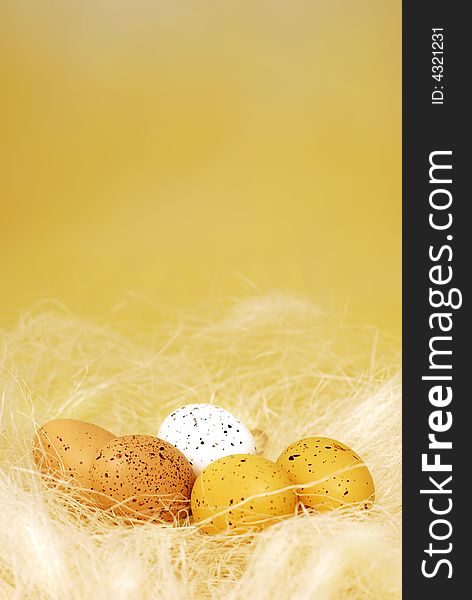 Brown and white quail eggs in the hay on yellow background. Brown and white quail eggs in the hay on yellow background