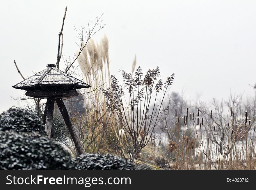 Birdnest With Snow On Top