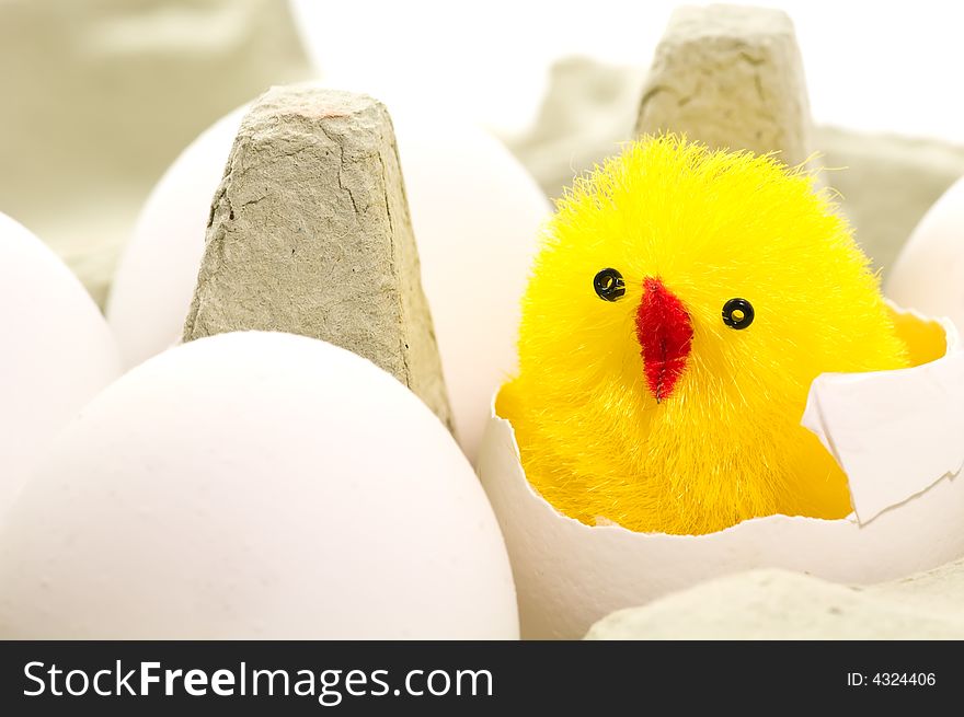 Close up on easter chicken in egg box