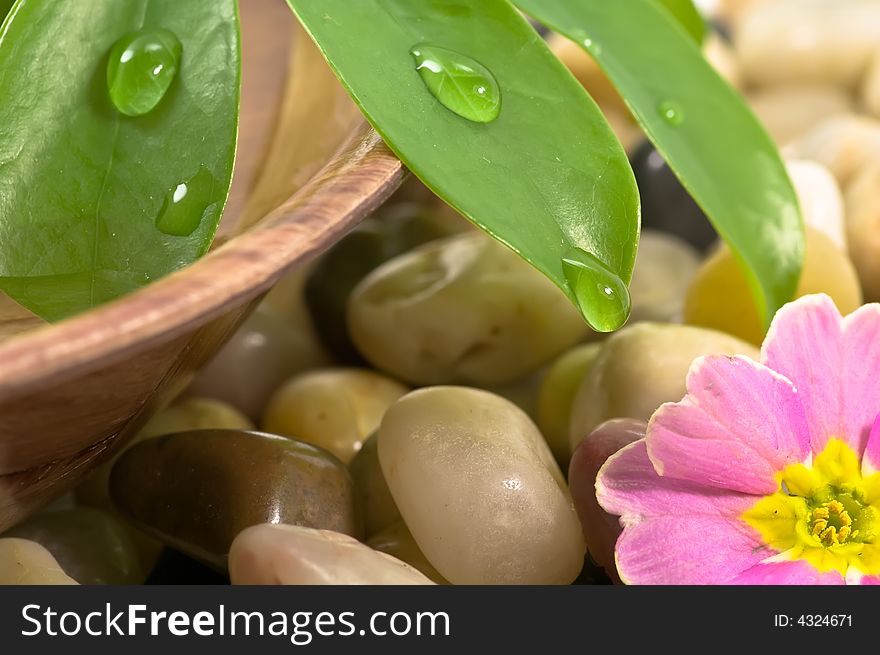 Flower, green  leaves and bowl of water. Flower, green  leaves and bowl of water