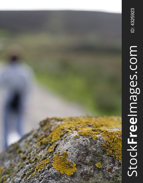 Lichen With Figure In Background