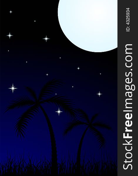 Vector illustration of tropical night