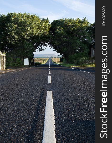 Straight road passes through trees in Orkney. Straight road passes through trees in Orkney