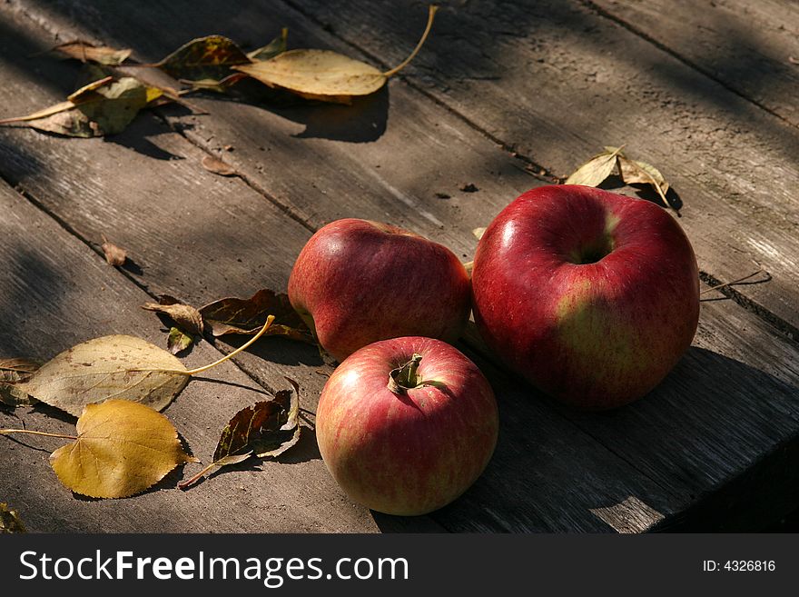 Three red apples laying under the automn sun. Three red apples laying under the automn sun