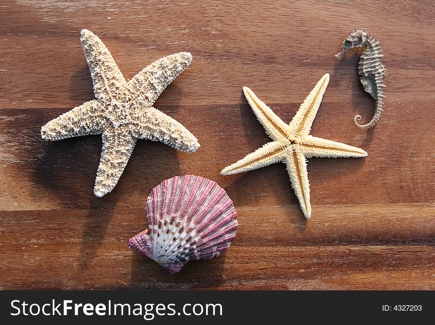 Starfish, conch and mussel on wooden background. Starfish, conch and mussel on wooden background