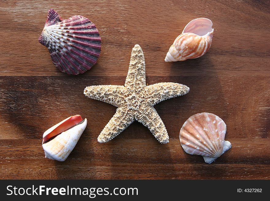 Starfish, conch and mussel on wooden background. Starfish, conch and mussel on wooden background