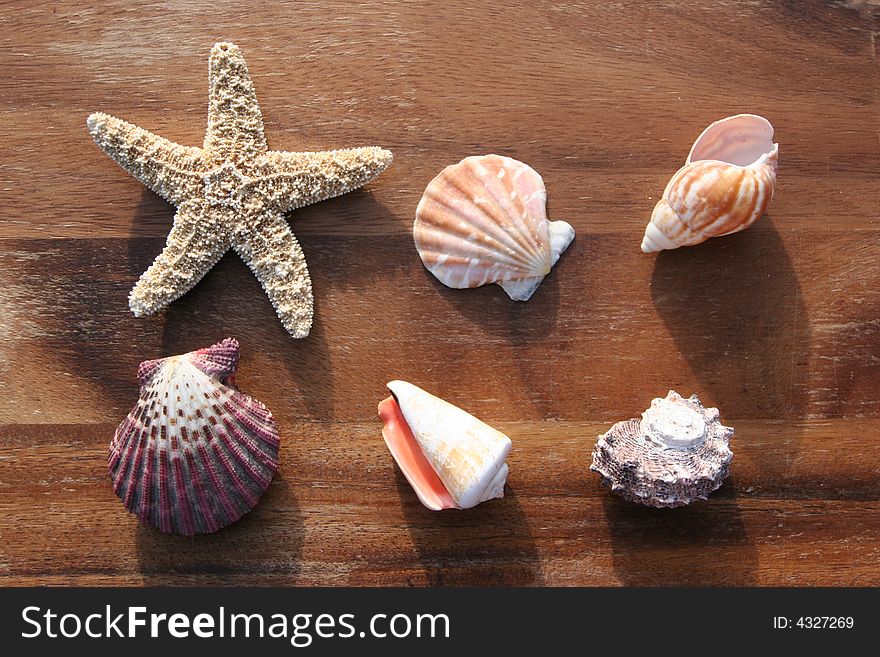 Starfish, conch and mussel on wooden background. Starfish, conch and mussel on wooden background