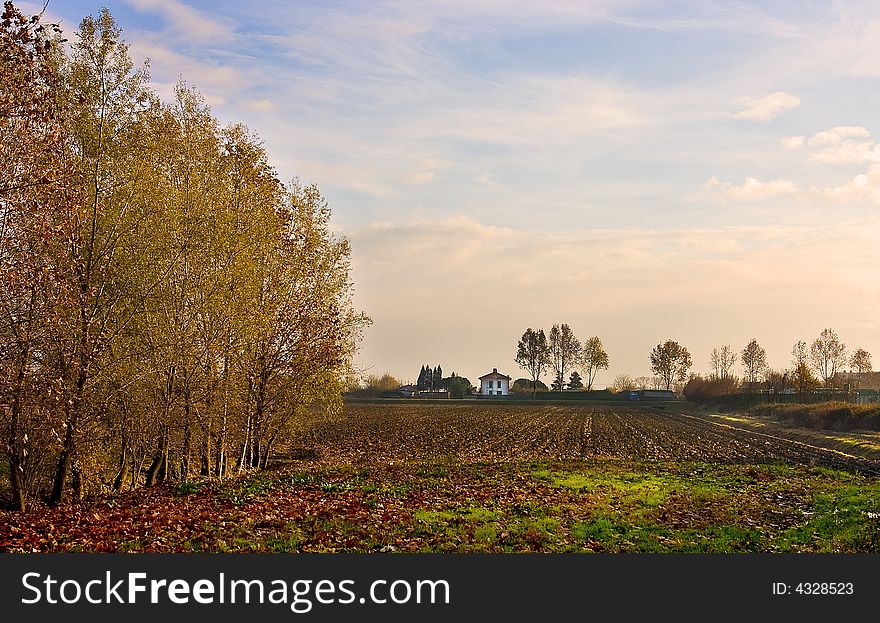 View Of Autumn