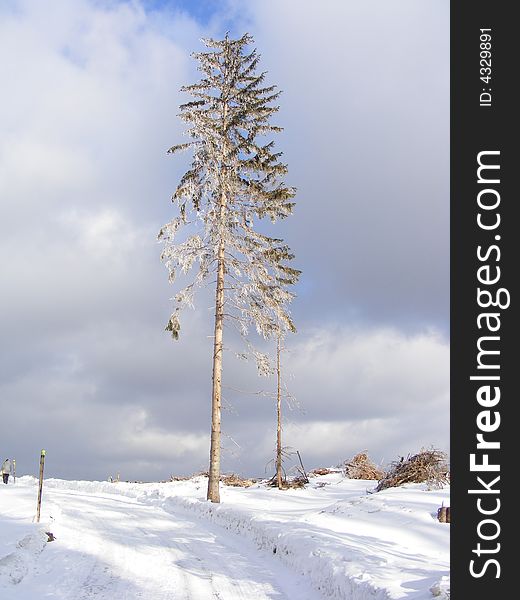 Winter motive on Bohemian Forest. Winter motive on Bohemian Forest