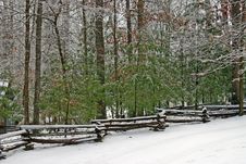 Snow And Ice Covered Trees And Fence Stock Photography