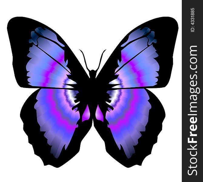 Ornamental butterfly in blue and purple colours. Ornamental butterfly in blue and purple colours.