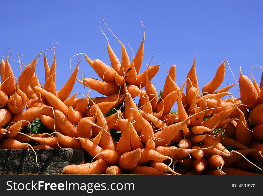 Carrot Display