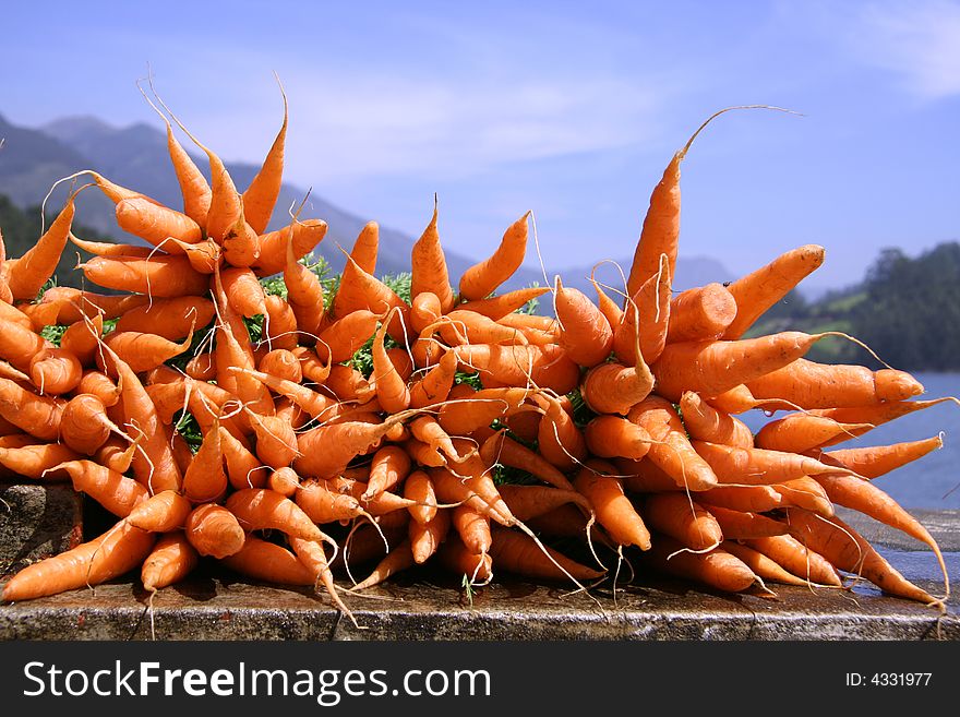 Fresh carrots display on blue sky. Fresh carrots display on blue sky