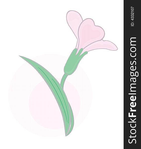 An illustration of a pink flower, nice and tender. An illustration of a pink flower, nice and tender