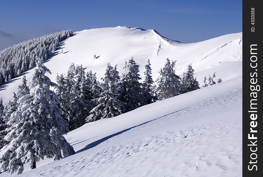 Piatra Mare mountains (Great Rock) are situated near Brasov City. Their altitude is 1843 in the summit from this image. Piatra Mare mountains (Great Rock) are situated near Brasov City. Their altitude is 1843 in the summit from this image