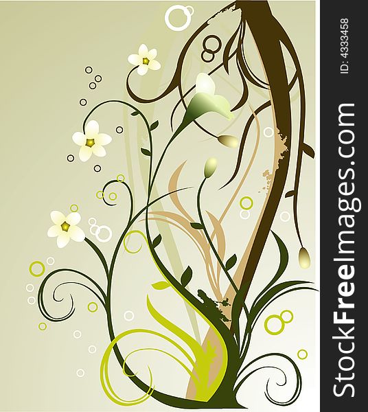 Vector Floral Illustration