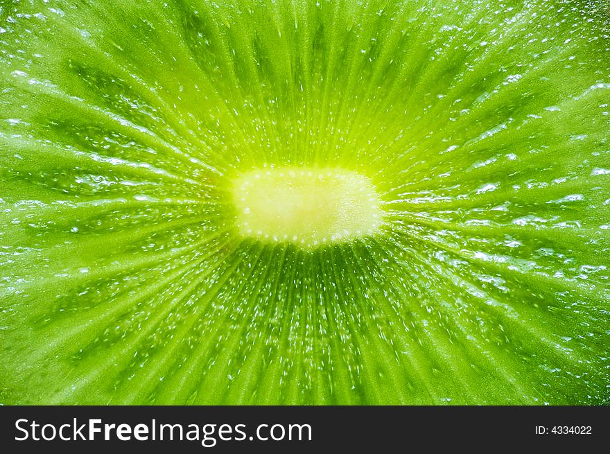 Fresh wet  kiwi slice cut. Fresh wet  kiwi slice cut