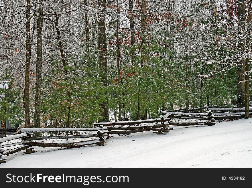 Snow and ice covered trees and fence