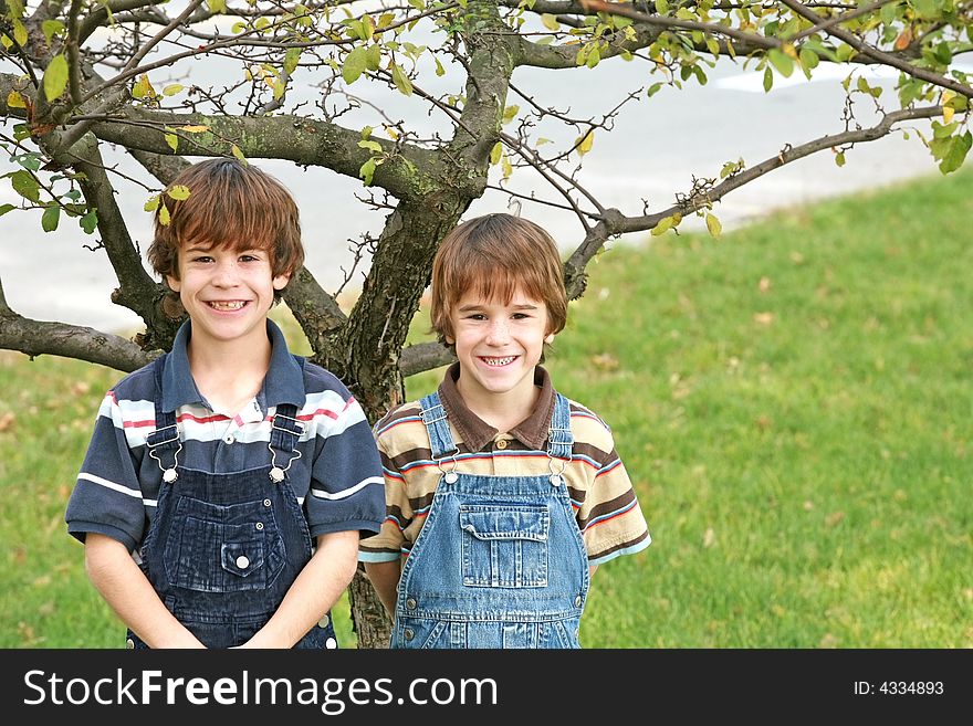 Brothers  Standing in Front of a Little Tree