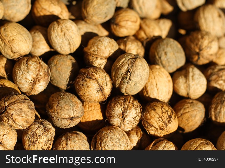 Photo of walnuts in sunshine