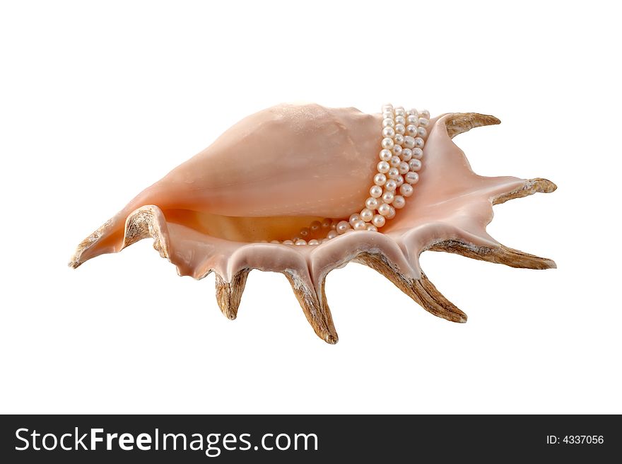 Cockleshell with pearls on a white background