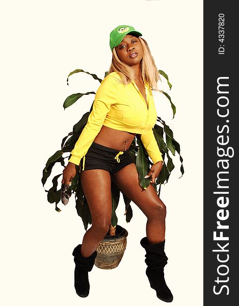 Close up of an young blond Jamaican girl standing in a yellow
blouse and short black shorts with an green hat for a plant. Close up of an young blond Jamaican girl standing in a yellow
blouse and short black shorts with an green hat for a plant.