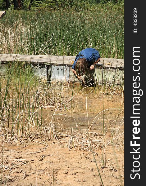 A young boy concentrating on catching minnows on a lazy summer day. A young boy concentrating on catching minnows on a lazy summer day