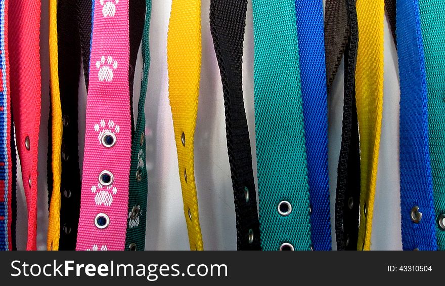 The dog leashes assorted colors