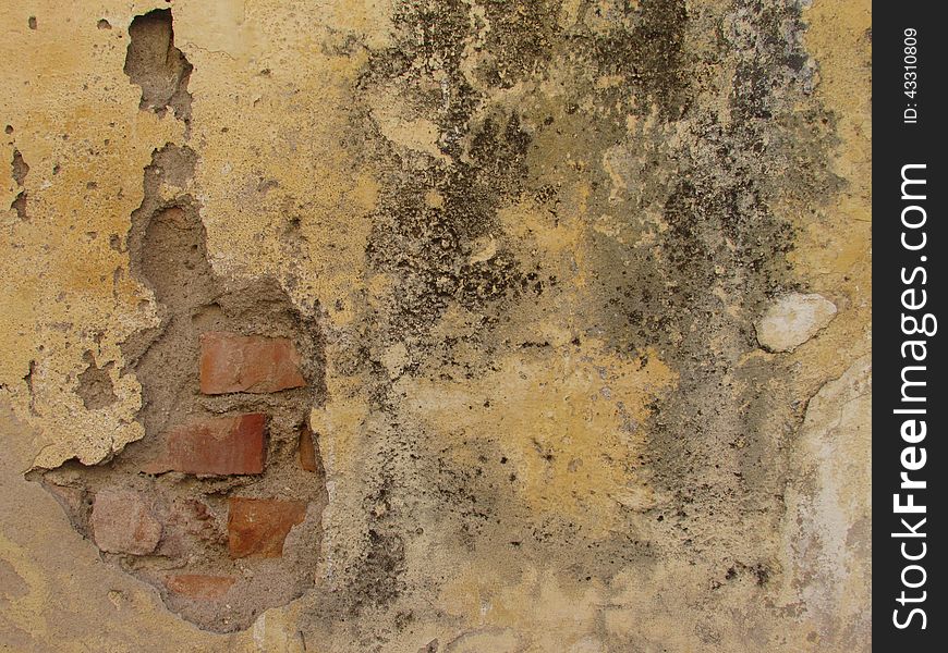 Old Wall