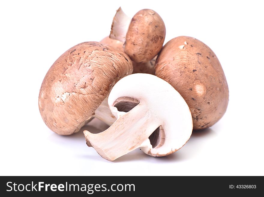 Excellent fresh mushrooms will approach to any dish