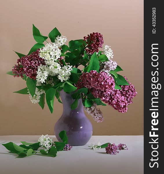 White and purple lilac in the purple vase still life