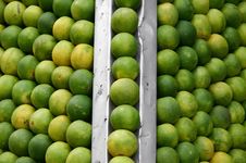 Oranges Lined Up At Juice Shop, Delhi Royalty Free Stock Image Oranges Lined Up At Juice Shop, Delhi Royalty Free Stock Image