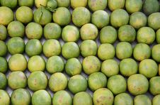 Oranges Lined Up At Juice Shop, Delhi Stock Photography Oranges Lined Up At Juice Shop, Delhi Stock Photography