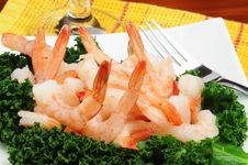 Shrimp Salad Stock Photography