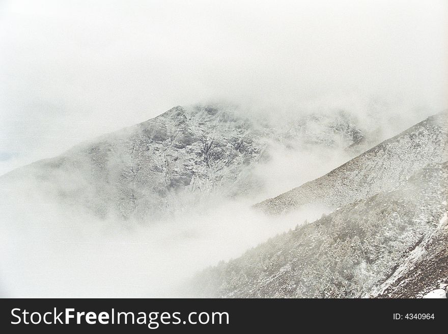 Foggy Ridge