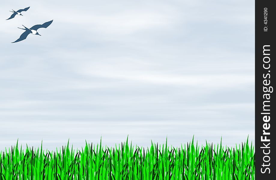 Green Grass with light blue sky and clouds flying two birds. Green Grass with light blue sky and clouds flying two birds
