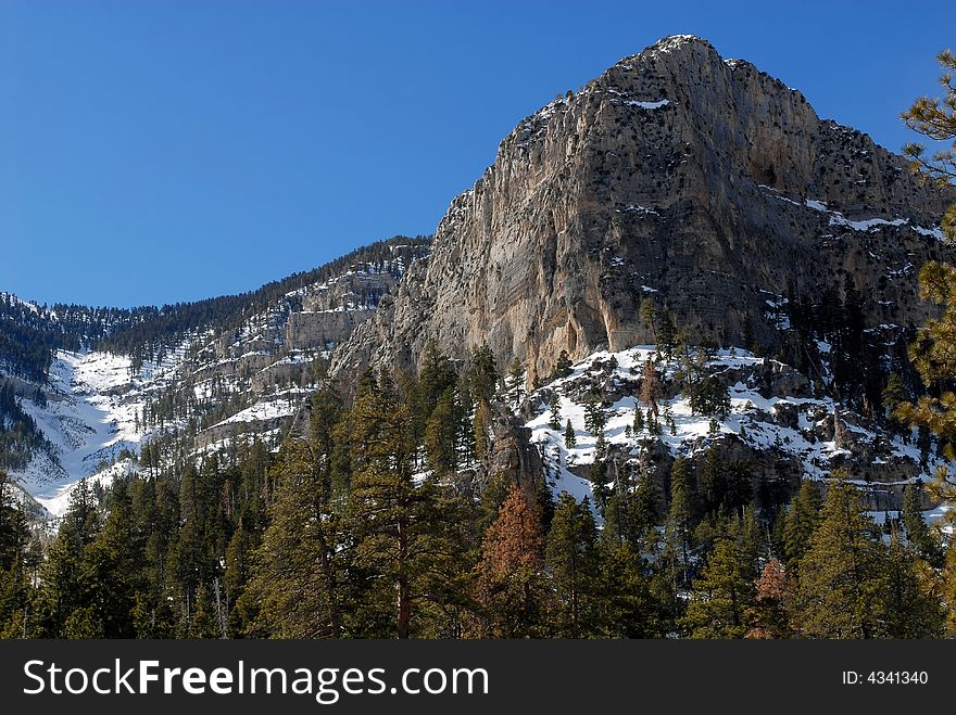 Mountain covered with snow and trees. Mountain covered with snow and trees