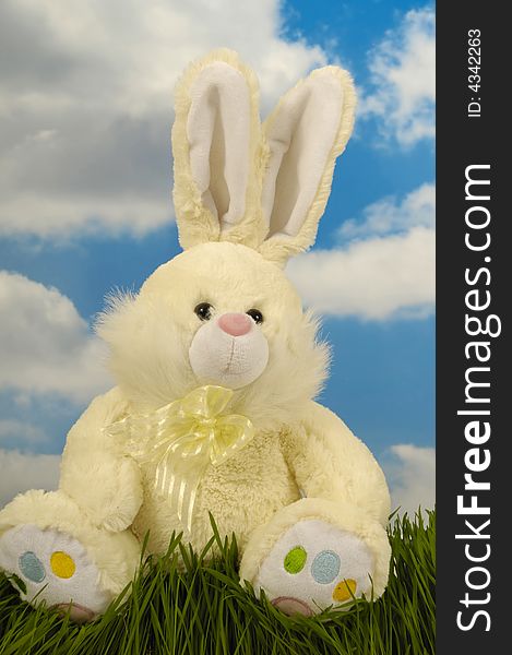 Easter bunny is sitting on green grass, with blue and cloudy sky in the background.