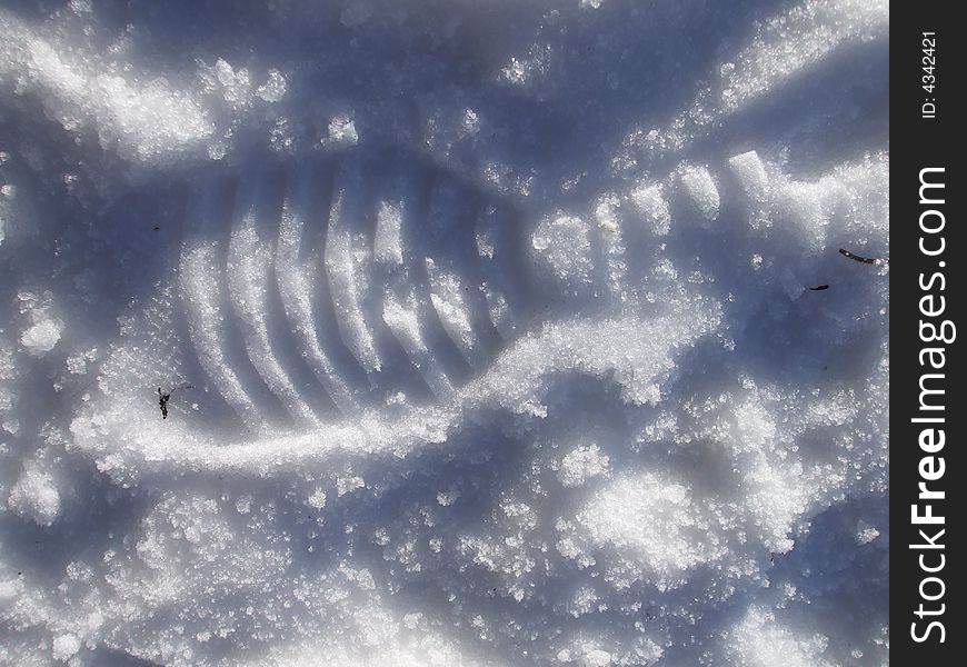 Boots trace in snow, winter snow