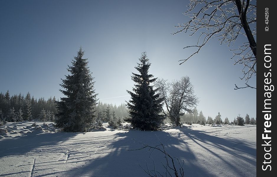Photo of winter scenery with forest.