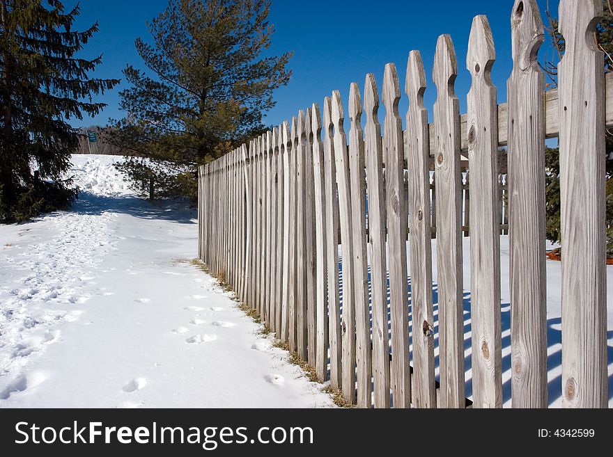 Fence line in the snow, with pine trees and a blue sky background