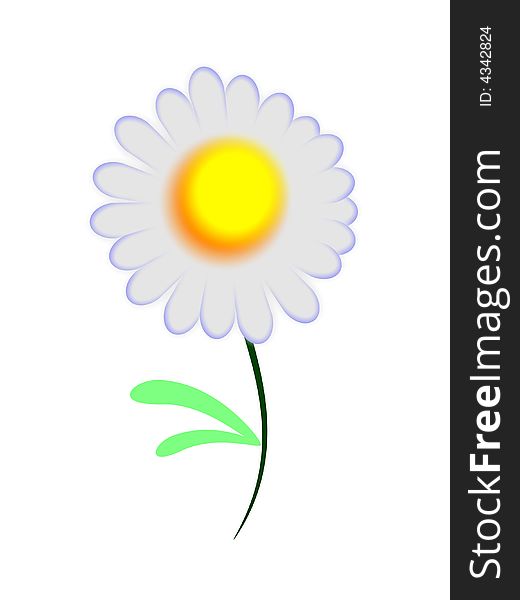 Vector illustration of simple chamomile. Vector illustration of simple chamomile