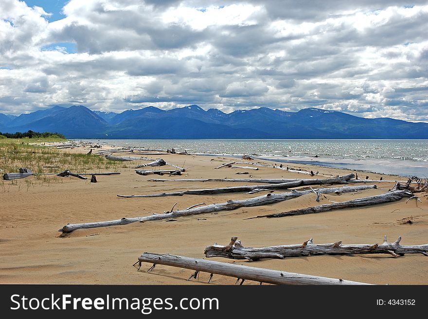 Sandy coast ï¿½f lake Baikal, logs