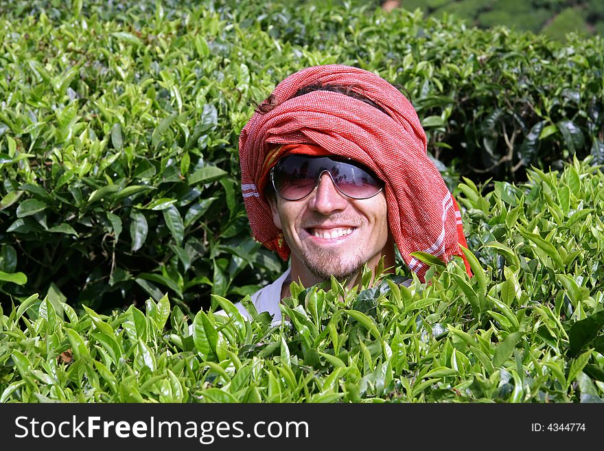 Caucasian man at tea plantation, kerala, india